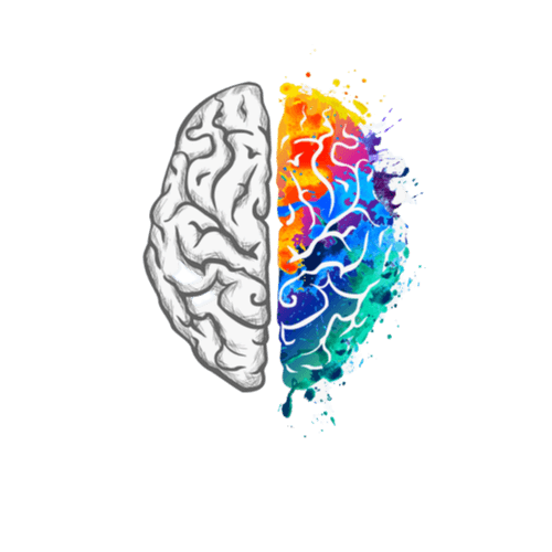 brain illustration